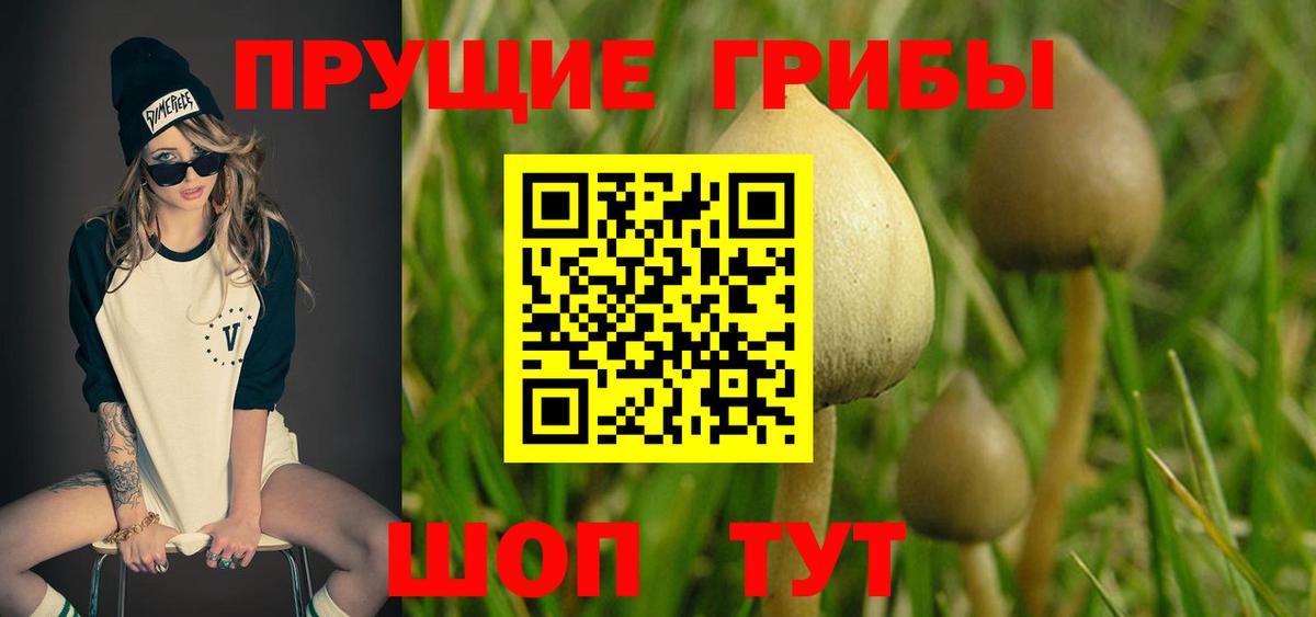 Псилоцибиновые грибы Cubensis Учалы